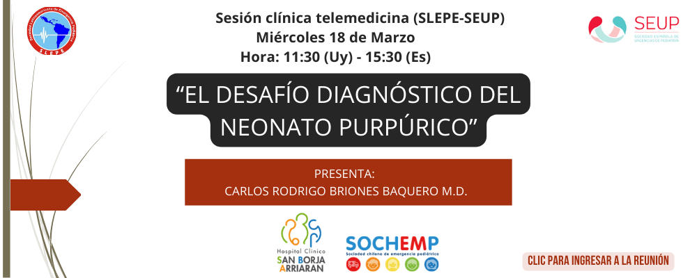 Sesion Clinica Telemedicina